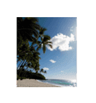 飛び出すハワイ✨▶︎自然が好き--Hawaii--（個別スタンプ：7）