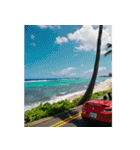 飛び出すハワイ✨▶︎自然が好き--Hawaii--（個別スタンプ：11）
