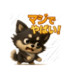 『自然災害時に！』3D黒ポメ（個別スタンプ：2）