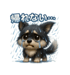 『自然災害時に！』3D黒ポメ（個別スタンプ：4）
