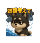 『自然災害時に！』3D黒ポメ（個別スタンプ：5）