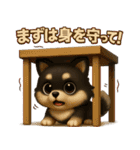 『自然災害時に！』3D黒ポメ（個別スタンプ：6）