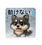 『自然災害時に！』3D黒ポメ（個別スタンプ：9）