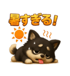 『自然災害時に！』3D黒ポメ（個別スタンプ：10）