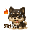 『自然災害時に！』3D黒ポメ（個別スタンプ：12）