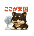 『自然災害時に！』3D黒ポメ（個別スタンプ：13）