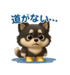 『自然災害時に！』3D黒ポメ（個別スタンプ：25）