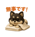 『自然災害時に！』3D黒ポメ（個別スタンプ：29）