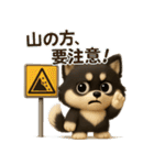 『自然災害時に！』3D黒ポメ（個別スタンプ：30）