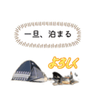 LINEで野営（個別スタンプ：3）