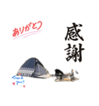 LINEで野営（個別スタンプ：5）