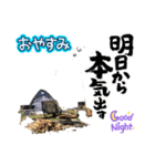 LINEで野営（個別スタンプ：19）