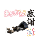 LINEで野営（個別スタンプ：25）