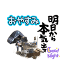 LINEで野営（個別スタンプ：39）