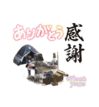 LINEで野営（個別スタンプ：40）