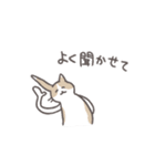 毎日ねこスタンプ（元気）（個別スタンプ：1）