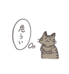 毎日ねこスタンプ（元気）（個別スタンプ：2）