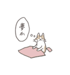 毎日ねこスタンプ（元気）（個別スタンプ：4）