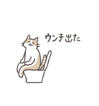 毎日ねこスタンプ（元気）（個別スタンプ：7）