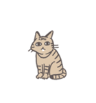 毎日ねこスタンプ（元気）（個別スタンプ：9）
