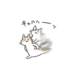 毎日ねこスタンプ（元気）（個別スタンプ：12）