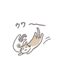 毎日ねこスタンプ（元気）（個別スタンプ：13）