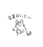 毎日ねこスタンプ（元気）（個別スタンプ：17）