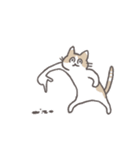 毎日ねこスタンプ（元気）（個別スタンプ：19）