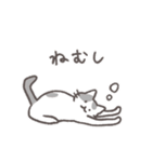 毎日ねこスタンプ（元気）（個別スタンプ：20）