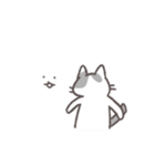 毎日ねこスタンプ（元気）（個別スタンプ：21）