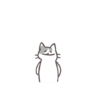 毎日ねこスタンプ（元気）（個別スタンプ：23）