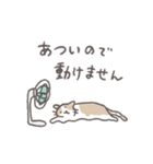毎日ねこスタンプ（元気）（個別スタンプ：24）