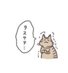 毎日ねこスタンプ（元気）（個別スタンプ：35）