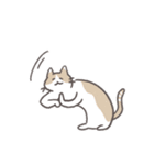 毎日ねこスタンプ（元気）（個別スタンプ：36）