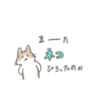 毎日ねこスタンプ（元気）（個別スタンプ：38）
