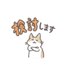 毎日ねこスタンプ（元気）（個別スタンプ：40）