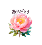 毎日使える 日常 敬語✿大人上品お花（個別スタンプ：13）
