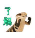 アオジタの日常（個別スタンプ：19）