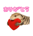 アオジタの日常（個別スタンプ：20）