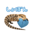 アオジタの日常（個別スタンプ：23）
