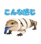 アオジタの日常（個別スタンプ：30）