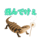 アオジタの日常（個別スタンプ：33）