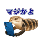 アオジタの日常（個別スタンプ：36）