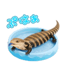アオジタの日常（個別スタンプ：39）
