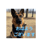 大'のお巡りさん（個別スタンプ：1）