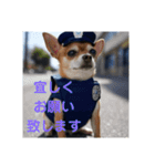 大'のお巡りさん（個別スタンプ：4）