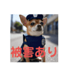 大'のお巡りさん（個別スタンプ：12）