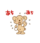 動け！トイプーのぷう太郎の夏（個別スタンプ：3）