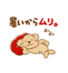 動け！トイプーのぷう太郎の夏（個別スタンプ：7）