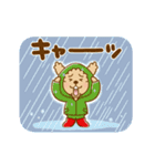 動け！トイプーのぷう太郎の夏（個別スタンプ：19）